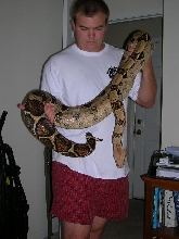 Rain heading back for her cage