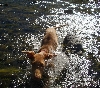 Water lover