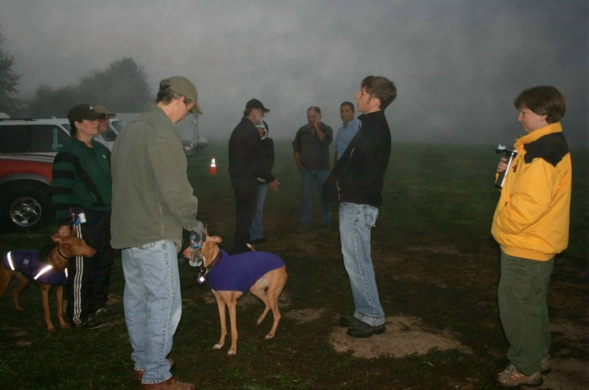 NLCC 2008
