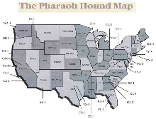 The PH Map Legend