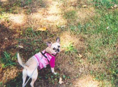 Sable outside