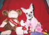 Sable Valentine pic #1