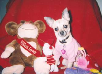 Sable Valentine pic #1