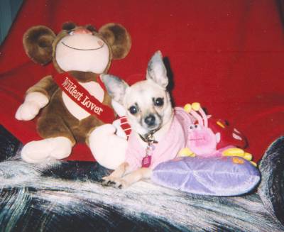 Sable Valentine pic #2