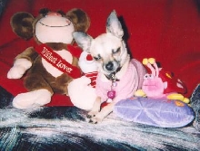 Sable Valentine pic #3