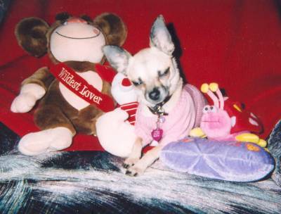 Sable Valentine pic #3