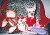 Sable Valentine pic #4