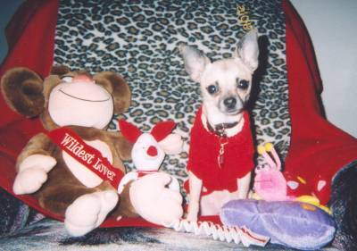 Sable Valentine pic #4