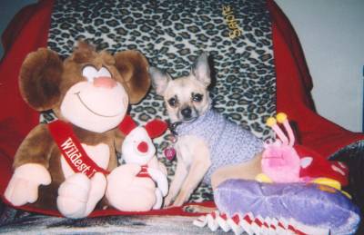 Sable Valentine pic #5