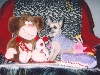 Sable Valentine pic #6
