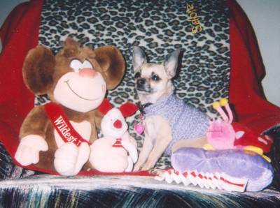 Sable Valentine pic #6