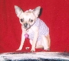 Sable Valentine pic #7