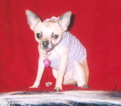 Sable Valentine pic #7