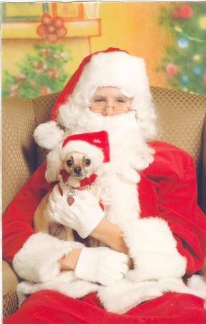 Sable with Santa Claus :o)