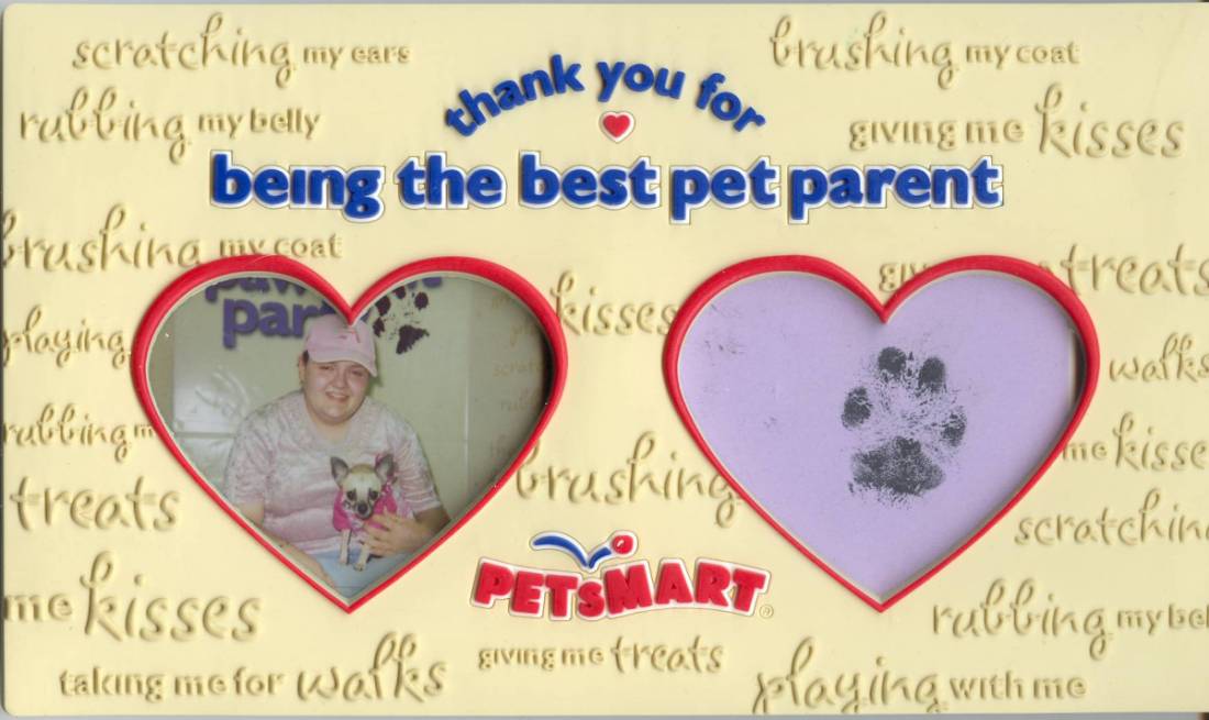 paw print party