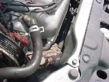 Snake in Engine 3