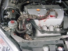 Snake in Engine 4