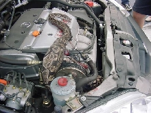 Snake in Engine 5
