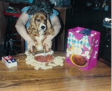 Bobo's First Birthday