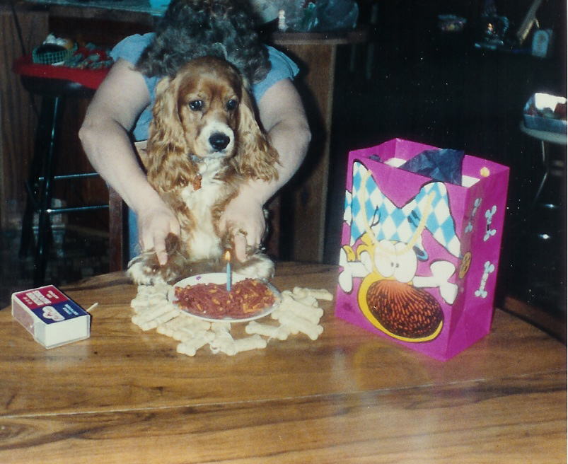 Bobo's First Birthday