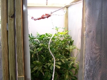 cages5