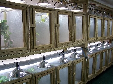 cages 1