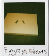 Pic I took when I was 11years old with a polaroid...give me a break...