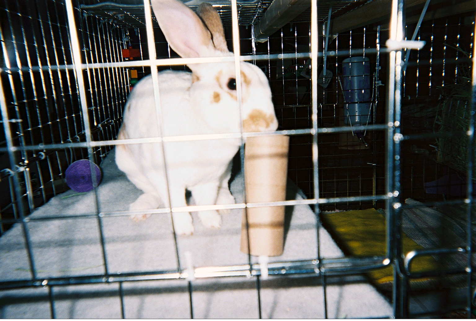 Humphrey playing