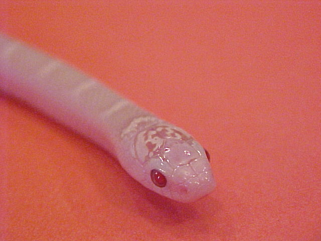 White Sided Snow Brooks Kingsnake