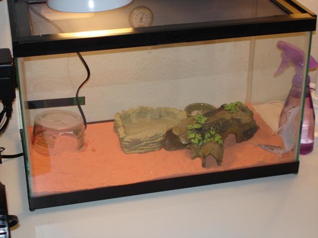 Joan's Tank