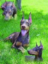 Tiara at 4 months