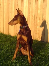 Tiara at 6 months