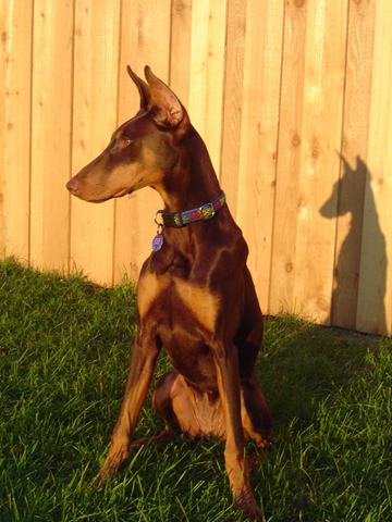Tiara at 6 months