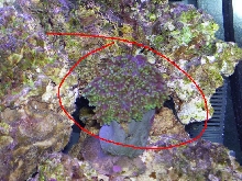 What is this?