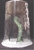 Horm worm