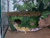 Lg Humid Hide1
