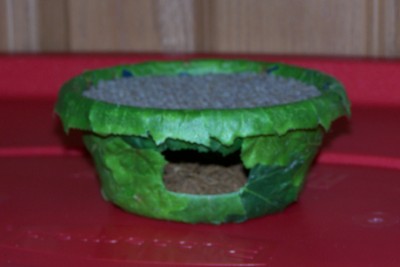 Sm Humid Hide