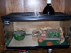 Juvie Tank 2