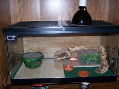 Juvie Tank 2