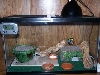 Juvie Tank 3