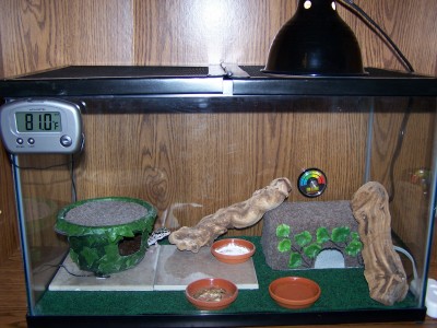 Juvie Tank 3