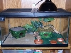 Juvie Tank 4