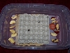 Superworm Beetle Setup
