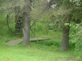 sideview house