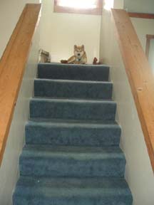 stairway