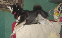 2kyasleep