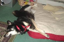 2kyasleep2
