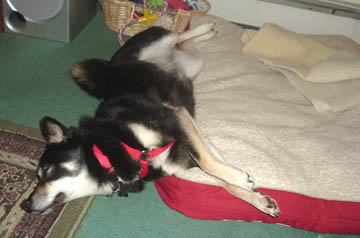 2kyasleep2