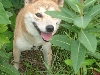 Hunter