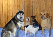 The crew
